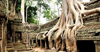 ta_prohm